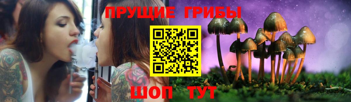 Галлюциногенные грибы MAGIC MUSHROOMS  Псилоцибиновые грибы мицелий  Вход с VPN  Реж 
